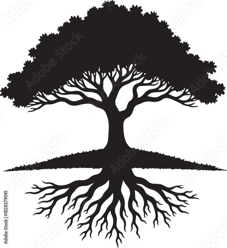 Black silhouette of a mature tree with extensive root system