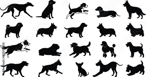 Dog breed silhouettes, black vector, pet identification, canine posture, sitting, standing, running, ear types, tail styles, comparison, chart, educational, animal shapes,purebred, domestic dogs