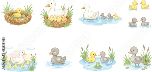 Duck and duckling illustration, nature scene, water habitat, family bonding, cute animals, cartoon vector, wildlife, parenting, pond life, educational design