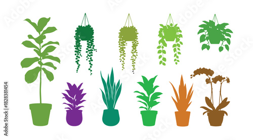Colorful houseplants. Garden icons of flowerpots, indoor plants thriving in pots, and leafy botanical decorations for office decor. Vector collection. Exotic plant leaves and potted flowers for home.