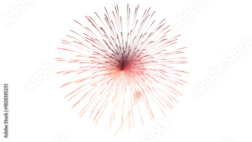 A delicate burst of fireworks in the night sky
