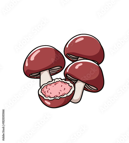 Cartoon illustration of red-capped mushrooms, one cut open to show pink interior