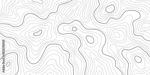 Topographic contour line map background. Geographic line map texture. Abstract lines and wavy background. Vector illustration