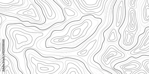 Topographic contour map background. Geographic line map design. Abstract line and wave texture background. Vector illustration