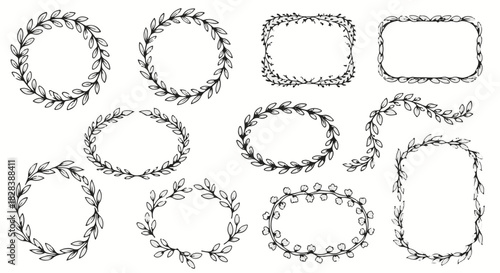 Vintage hand drawn botanical borders and floral frames collection for branding and wedding invitations. isolated PNG with Transparent Background