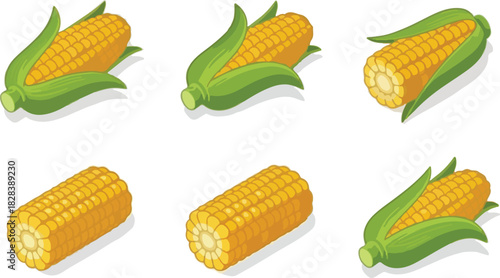 Isometric corn cobs with and without leaves isolated on