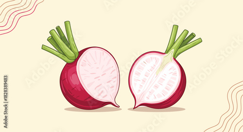 A vibrant illustration of two fresh red radishes, each cut in half to show its crisp white interior and green top, against a simple beige background.