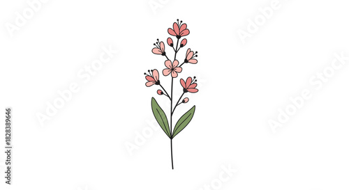 A charming hand-drawn illustration of a small flowering plant with delicate pink blossoms and green leaves on a clean white background.
