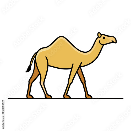 Camel walking on a line in a simple vector illustration