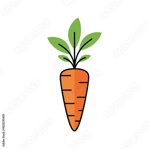 Simple carrot vector illustration