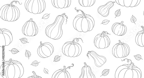 Elegant pumpkin outline pattern for Thanksgiving designs, perfect for fall crafts and backdrops, create your own autumn-themed coloring pages!