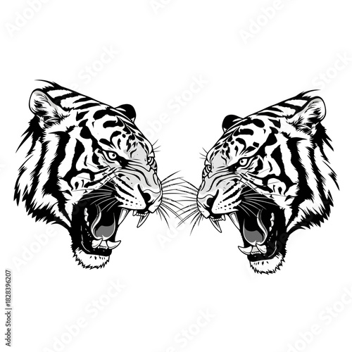 Two roaring tiger heads facing each other vector illustration