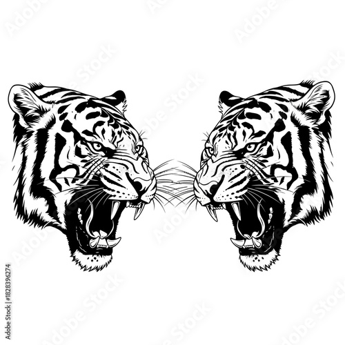 Two roaring tiger heads vector illustration