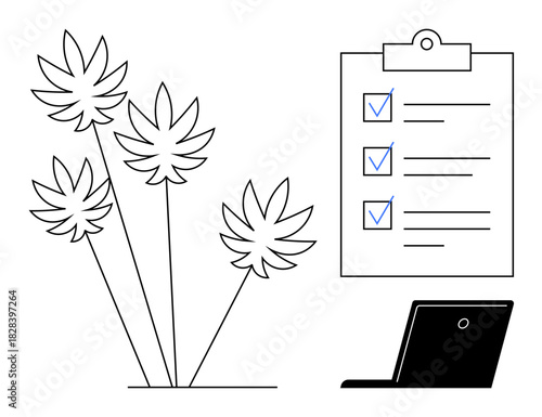 Cannabis leaves next to checklist and laptop symbolizing organization, planning, industry compliance, product inspection, or data analysis. Ideal for agriculture, business, research, health policy
