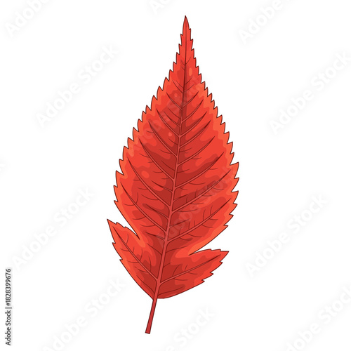 Classic Red Autumn Maple Leaf Illustration Symbolizing Fall Season Change
