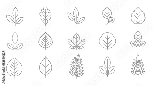 Set of minimalist leaf icons simple line art vector design isolated on white background for nature and ecology projects
