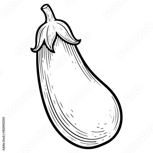 Fresh eggplant or aubergine vegetable illustration hand drawn in black and white ink sketch style isolated on white background suitable for vegetarian recipes or market design
