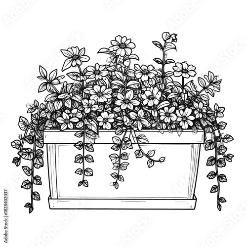Monochrome Linear Illustration of Flowering Plant in Rectangular Pot Black and White Botanical Artwork with Detailed Hatching for Ornamental Flora