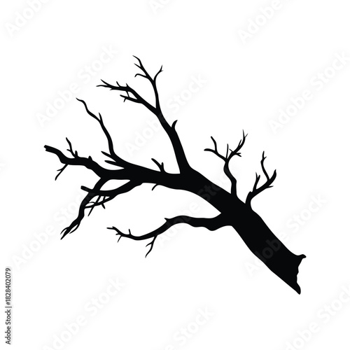 Isolated black silhouette of a dead tree branch on a white background, dead tree branch silhouette vector illustration