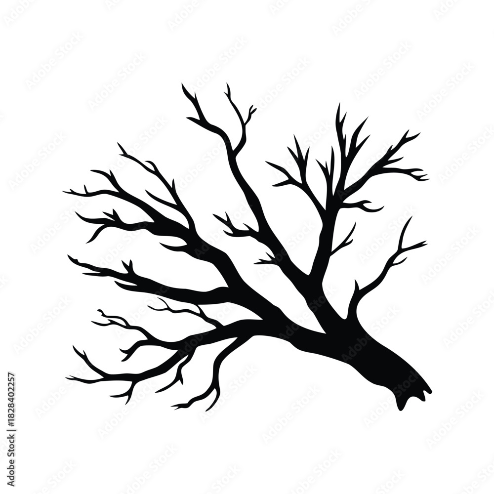Naklejka premium Silhouette of a bare tree with many branches and no leaves, dead willow branch silhouette vector illustration