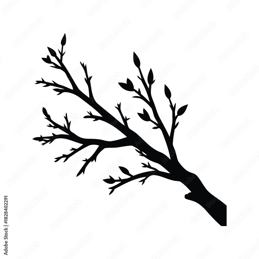Obraz premium Black silhouette of a budding tree branch against a white background, dead willow branch silhouette vector illustration