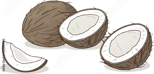 Coconut halves and a slice isolated on, showcasing the white flesh and brown shell of the tropical fruit, ideal for healthy eating