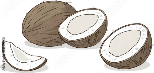 Illustration of whole and halved coconuts isolated on, showcasing the fruits texture and creamy white flesh, perfect for tropical themes