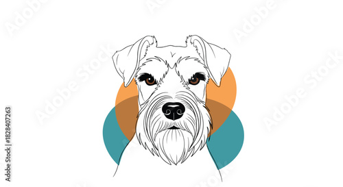 Stylized line art portrait of a Miniature Schnauzer with expressive brown eyes against a modern geometric circle background.