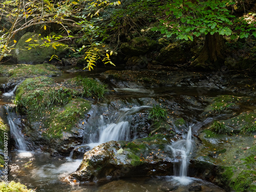 Green valley stream in autumn
Along the approach to the main gate of Gakuen-ji Temple(Izumo City, Japan), there was a soothing view.