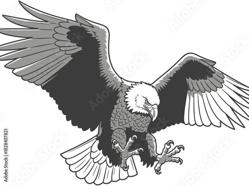 Detailed Bird of Prey Vector Illustration Attacking with Wings Spread Vector Art