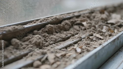 Wallpaper Mural Dirty window track filled with dust debris and dried leaves needs cleaning showing household maintenance Torontodigital.ca