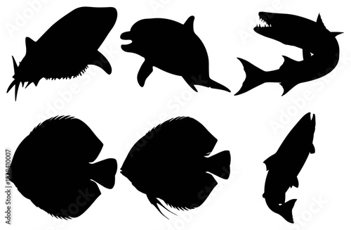 Silhouettes of various marine animals isolated on