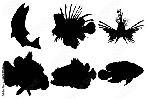 Various fish silhouettes isolated on