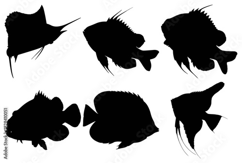 Silhouettes of various tropical fish species isolated on