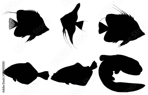 Silhouettes of various tropical fish and marine creatures isolated on