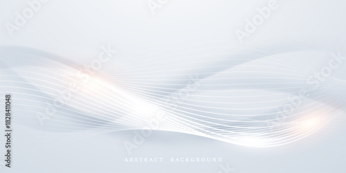 gray and white abstract background modern vector illustration