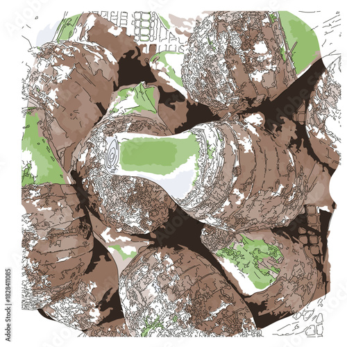  Sketch-style impressionnist painting,Raw taro pile,Digital illustration vector image 