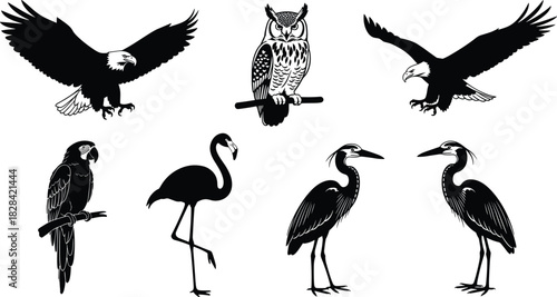 Black and white majestic bird silhouettes vector collection, featuring eagles, wise owl, vibrant macaw, graceful flamingo, and elegant herons in diverse poses, isolated on white background.