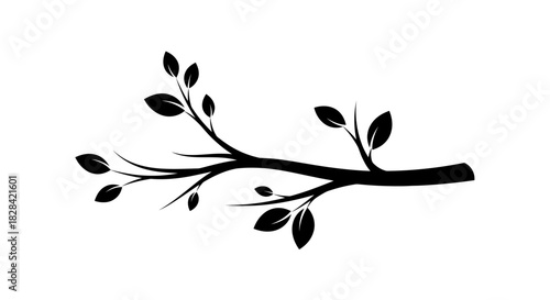 Tree branch with leaves with transparent background
