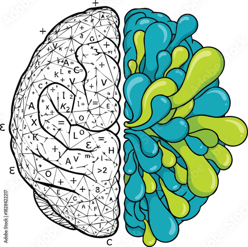 Left Brain Right Brain Concept Illustration – Logic vs Creativity Design