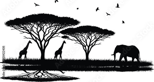 Black silhouette of African savanna landscape with acacia trees, giraffes, elephant, and birds reflected in water, for wildlife and nature vector design.