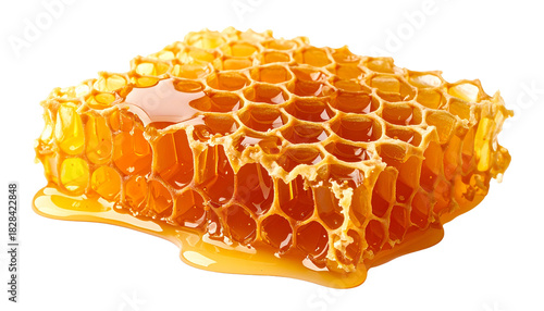 Natural organic honeycomb isolated on white background with sweet golden honey and propolis.