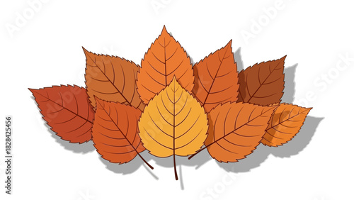 Pile of colorful autumn leaves in shades of orange, brown, and yellow, casting shadows on a white background.