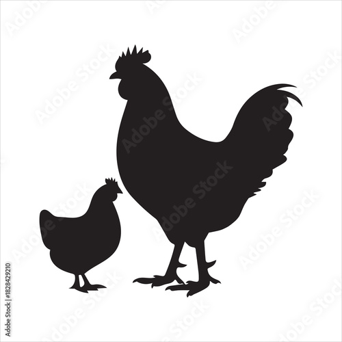 Chickens Silhouette. Simple high-contrast illustration featuring the black silhouettes of two farm chickens on a white background. Vector for poultry or farming.
