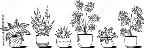 Collection of hand drawn potted house plants, black and white line art vector illustration, botanical indoor garden set, isolated.