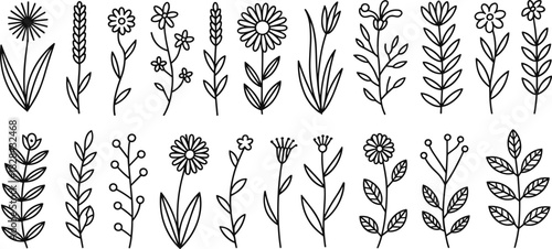 Set of hand drawn wild flowers and herbs, black and white botanical doodle vector illustration, isolated on white.