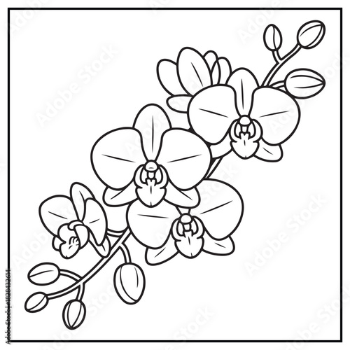 Botanical Orchid Coloring Page – Simple Orchid Flower Line Art for Kids and Adult Coloring Book, Hand Drawn Minimal Floral Design