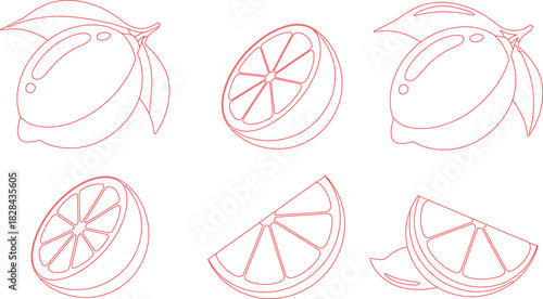Red Outlined Lemons with Leaves, Halves, and Wedges on White Background Illustration
