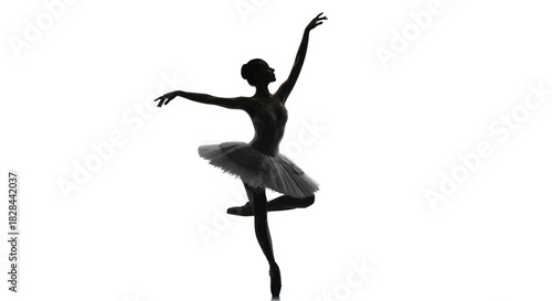 Elegant Ballerina Silhouette Poised Gracefully in a Classic Arabesque Position Against a Clean White Backdrop Displaying Artistic Expression and Dedication to Dance
