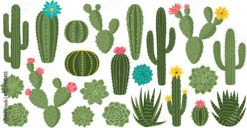 Diverse Desert Succulent and Cactus Plant Vector Collection Set Illustrating Prickly Pears, Barrel Cacti, and Blooming Flowers for Southwestern, Nature, and Houseplant Design